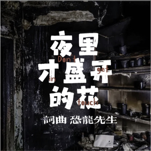 夜里才盛开的花.wav