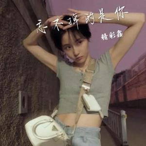 不再联系（DJ伤感版）