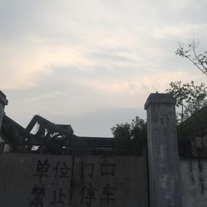 致我的迷茫兄弟