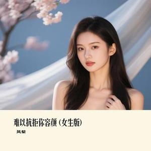 难以抗拒你容颜  (女生版) (Remix)