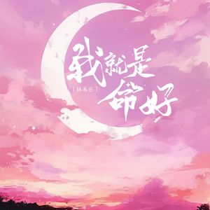 我就是命好（DJ小西版）