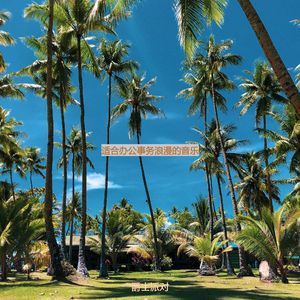 适合办公事务浪漫的音乐