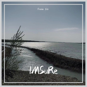 IMSuRe（prodby Lisure）