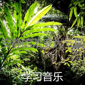 一尘不染加工印象数