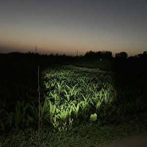 Love forever   （Prod by Lv9）