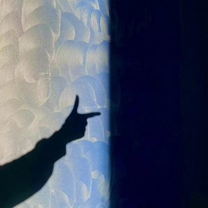 去有风的地方（cover 郁可唯）