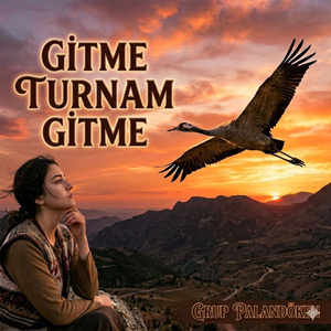 Gitme Turnam Gitme