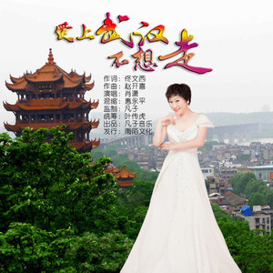 爱上武汉不想走