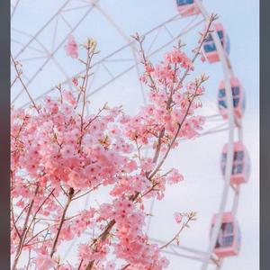 在哪里都很好