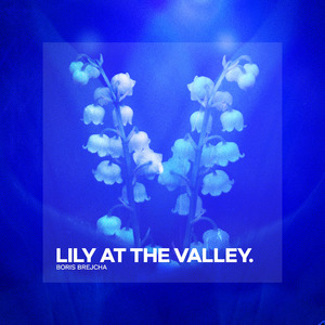 Lily At The Valley (Extended Mix)