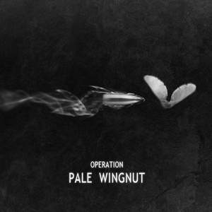 the PALE WINGNUT OPERATION（“苍白枫杨”行动）