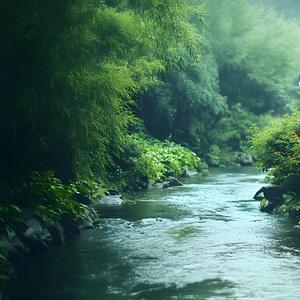 Whispering Waters by the Bamboo竹畔水韻-Pipa Light Music&Relaxation&Acoustic