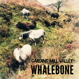 Carding Mill Valley