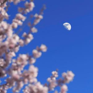 ハルノヒ (feat. 幻騎)