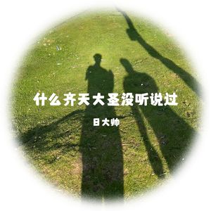 什么齐天大圣没听说过（DJ版）