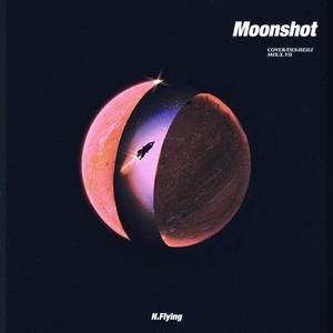 Moonshot（翻自 新飞）