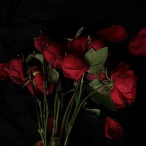 花落（Prod by Lakewavebeatz）