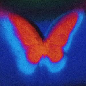 0-100-化茧成蝶（Galaxy No Shark / 太帅了花 remix）