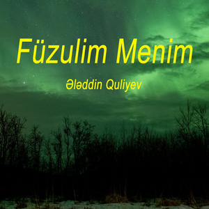 Füzulim Menim