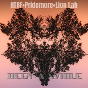 Been A While (feat. Pridemore & HidingToBeFound)