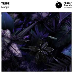 Tribe(Original Mix)