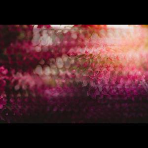 Big Tits Heavy Boobs