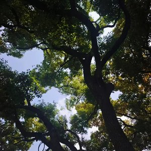 回到转角
