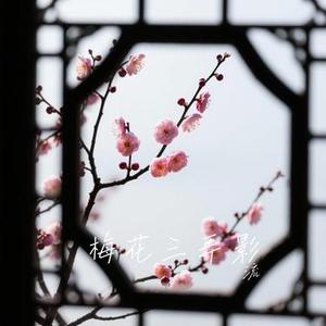 梅花三弄影