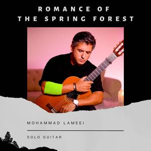 Romance of Spring Forest