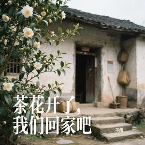 茶花开了，我们回家吧