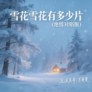 雪花雪花有多少片