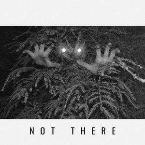 Not There (feat. Julia Rose Quartz & Levi Donaldson)
