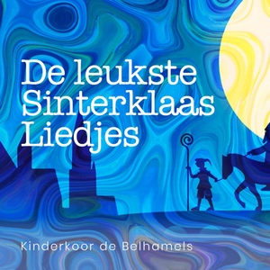 Goedenavond Sinterklaasje / Sinterklaas rijdt op het dak