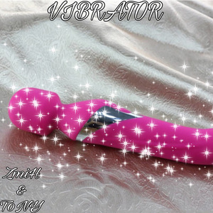 Vibrator
