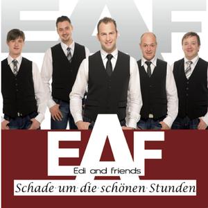 Schade um die schönen Stunden (Radio)