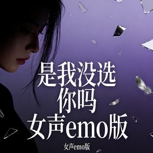 是我没选你吗女声emo版.mp3