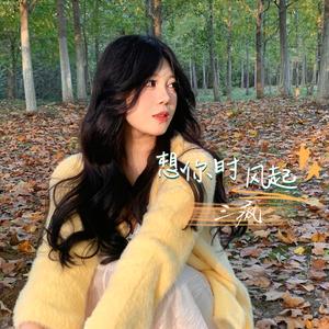 想你时风起