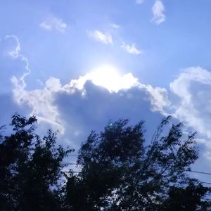 戚薇-如果爱忘了