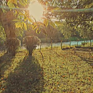 Metallurgical Taller