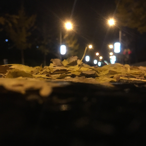 爱念雾影.wav