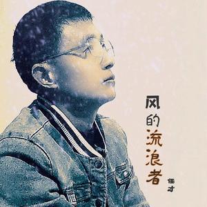 风中的漂泊（DTS5.1）