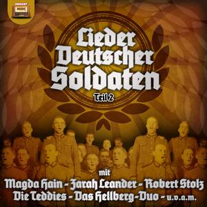 Möwe du fliegst in die Heimat