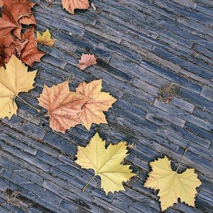 再见（Prod by Lyoung）