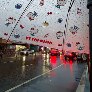 雨