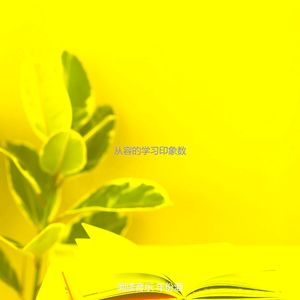 抚慰的长篇小说回忆