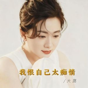 我恨自己太痴情