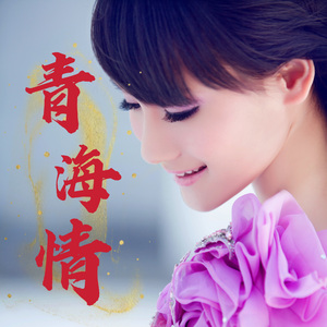 青海情