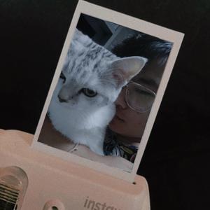 我的悲伤是装的