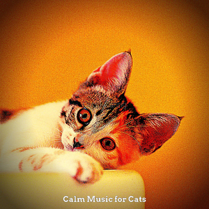 Pleasant (Training Cats)