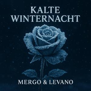 Kalte Winternacht (feat. Levano)